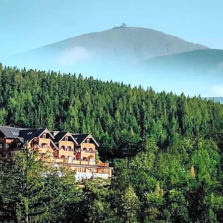 Otel Seidorf Luxury Wellness &